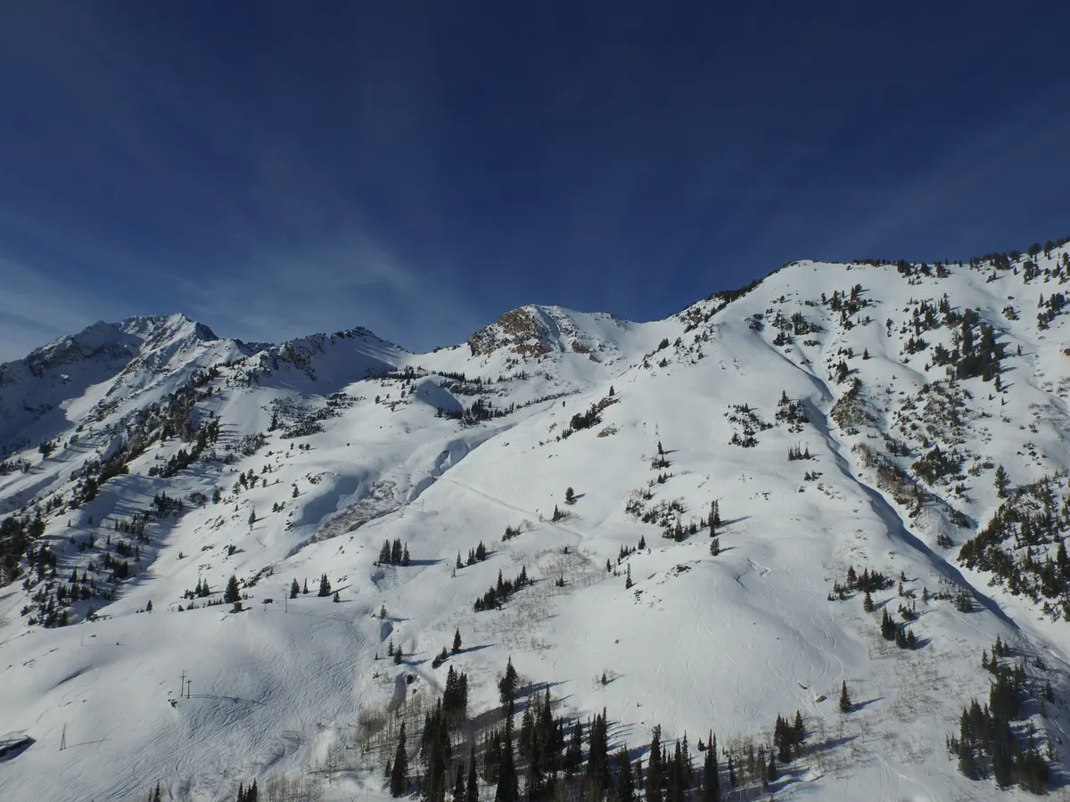 Alta Ski Area ski resort