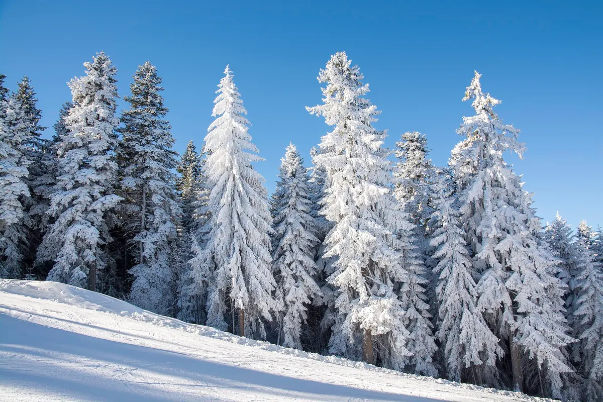 Borovets ski resort
