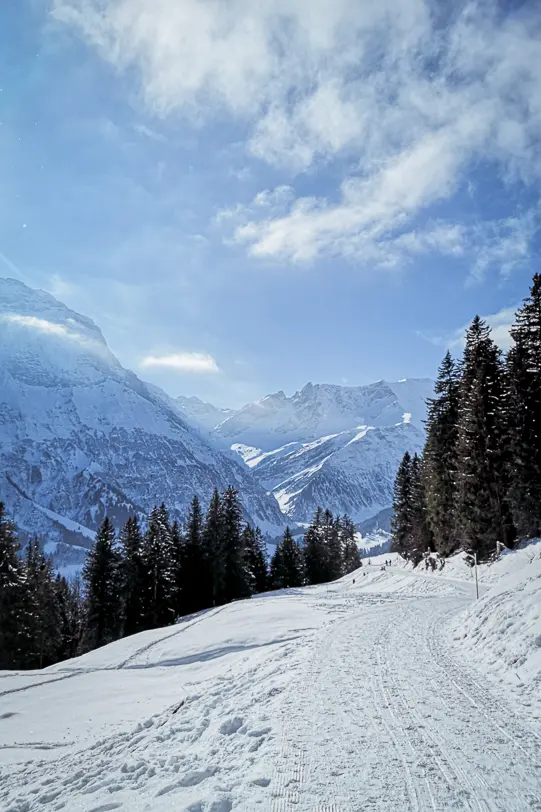 Elm ski resort