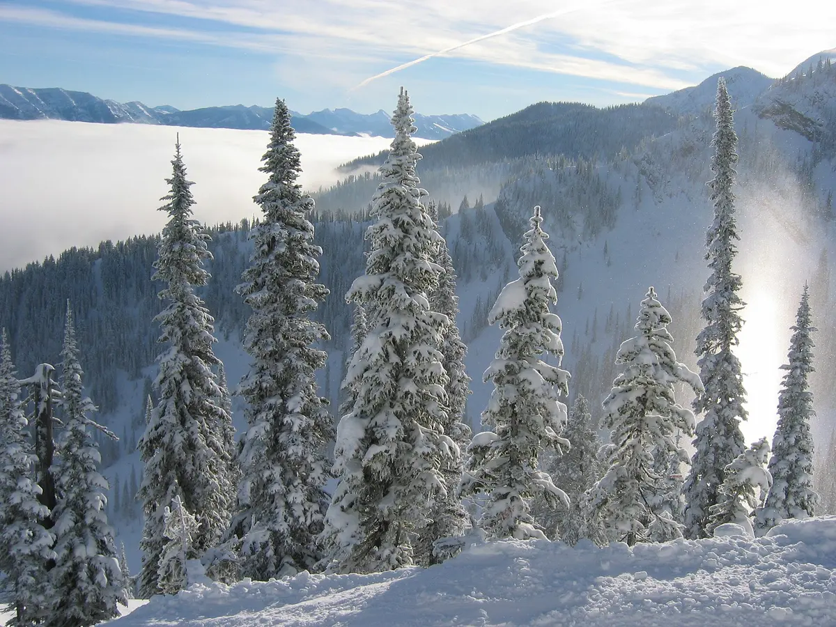 Fernie Alpine Resort ski resort