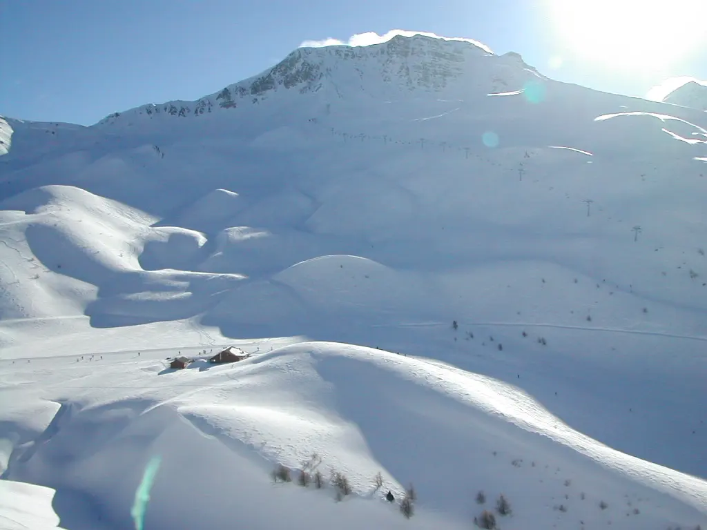 Forêt Blanche : Vars/Risoul ski resort