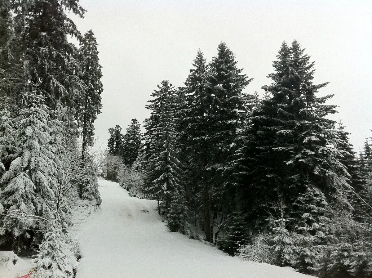 Gérardmer ski resort