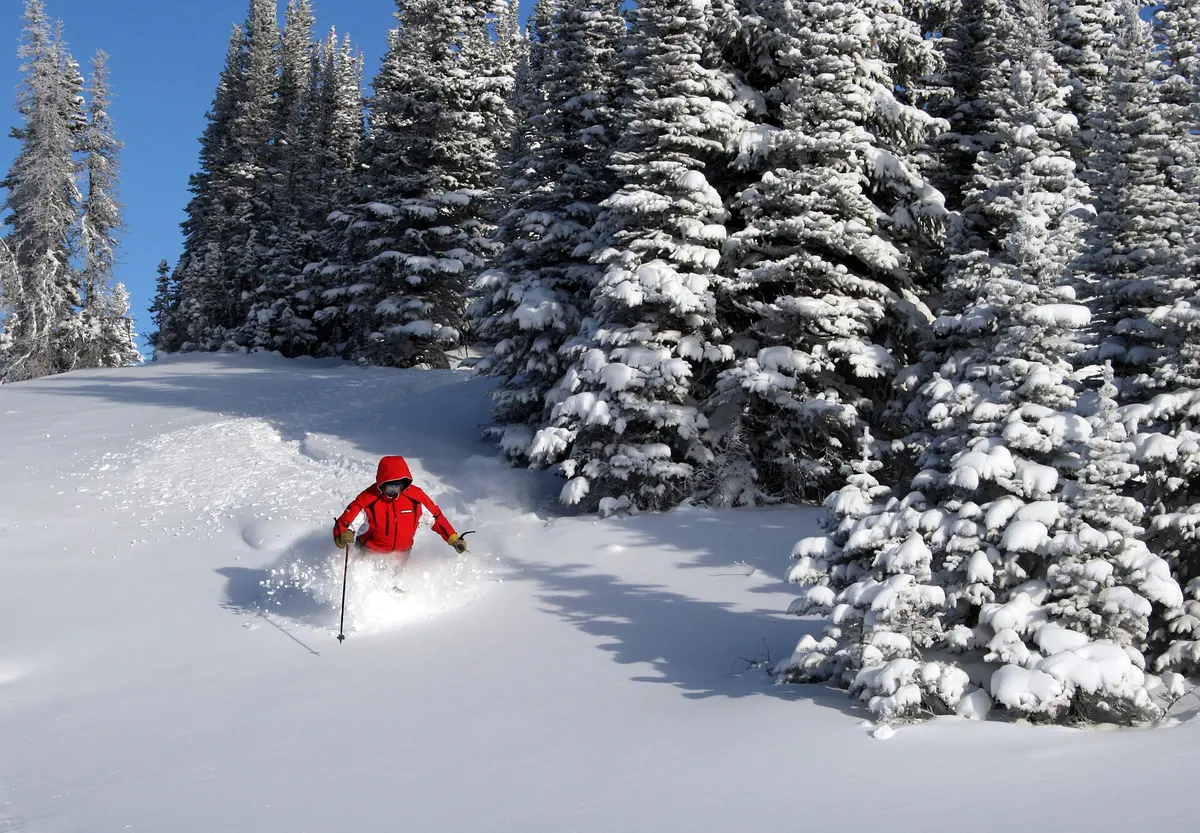 Marmot Basin ski resort