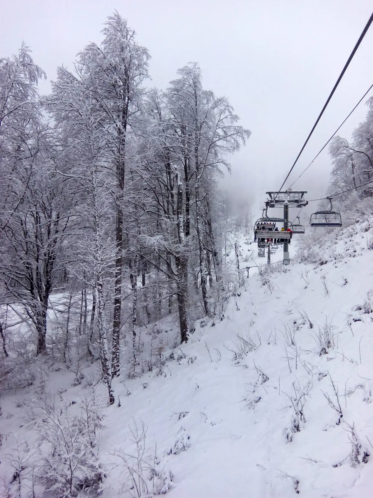 Rosa Khutor ski resort