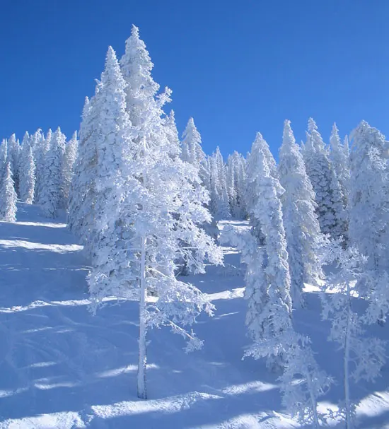 Steamboat Ski Resort ski resort
