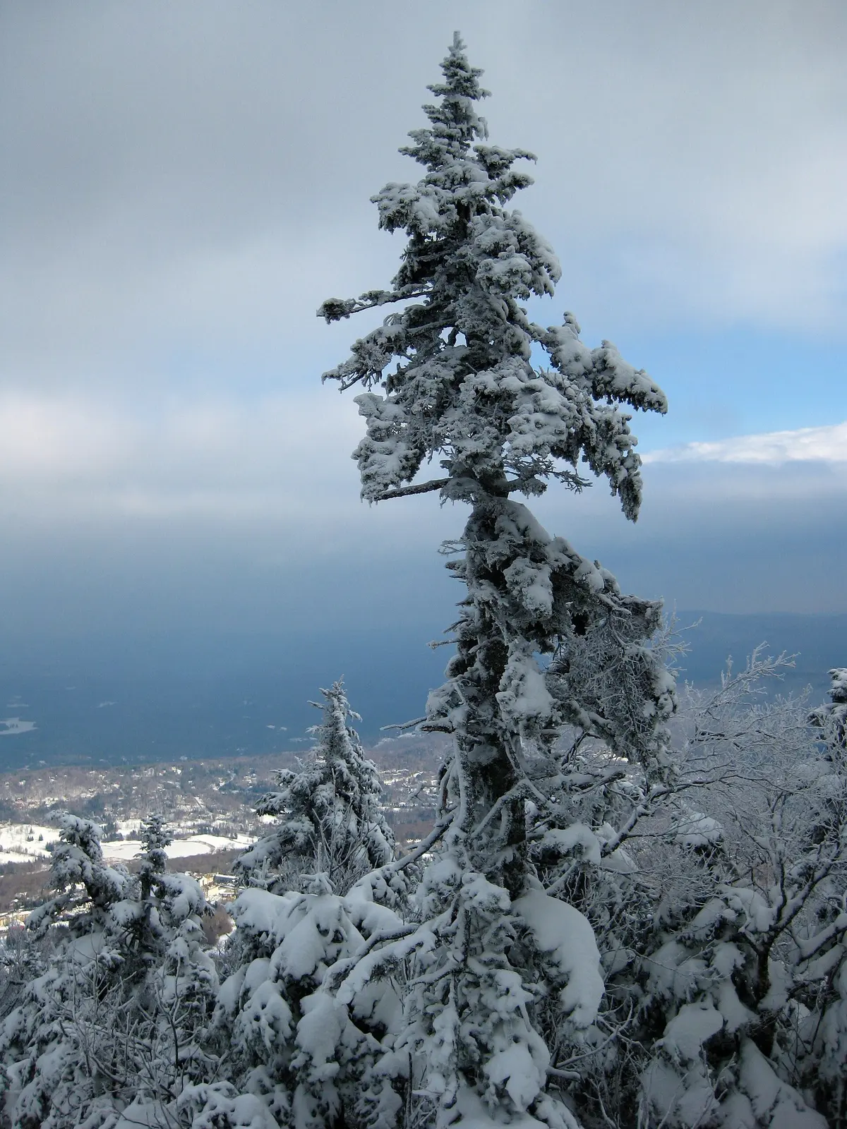 Stratton Mountain Resort ski resort