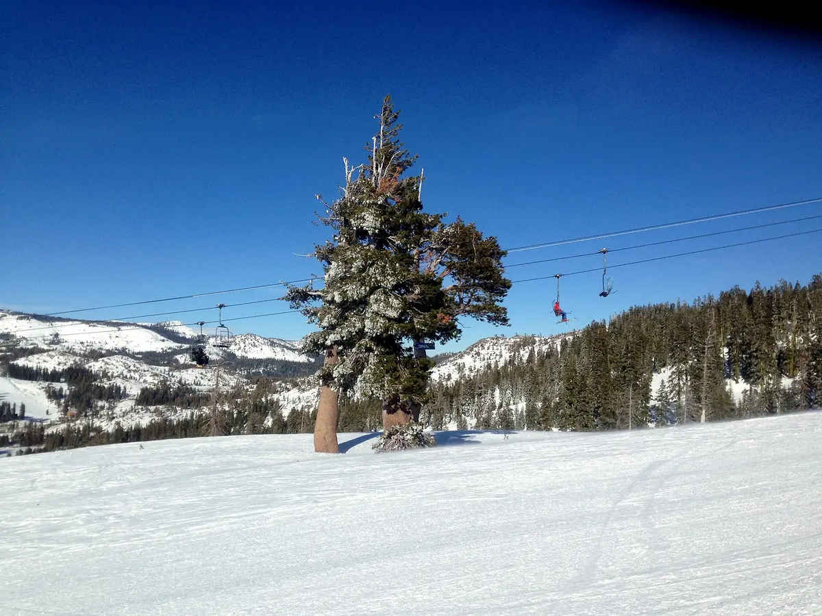 Sugar Bowl Resort ski resort