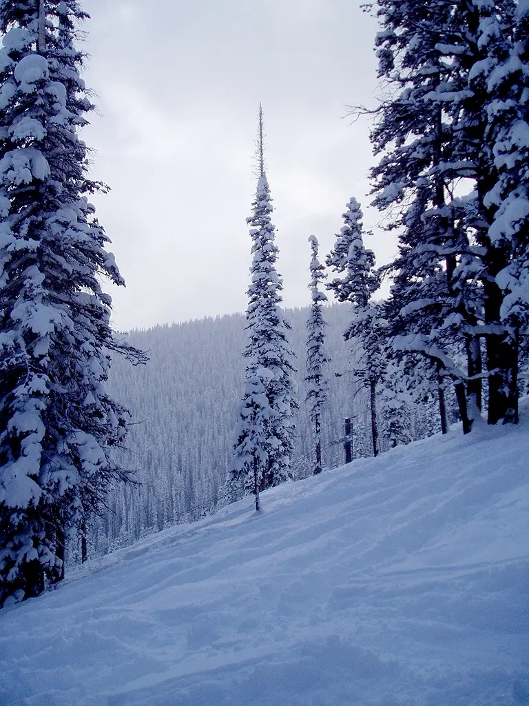 Summer Area Boundary Winter Park ski resort