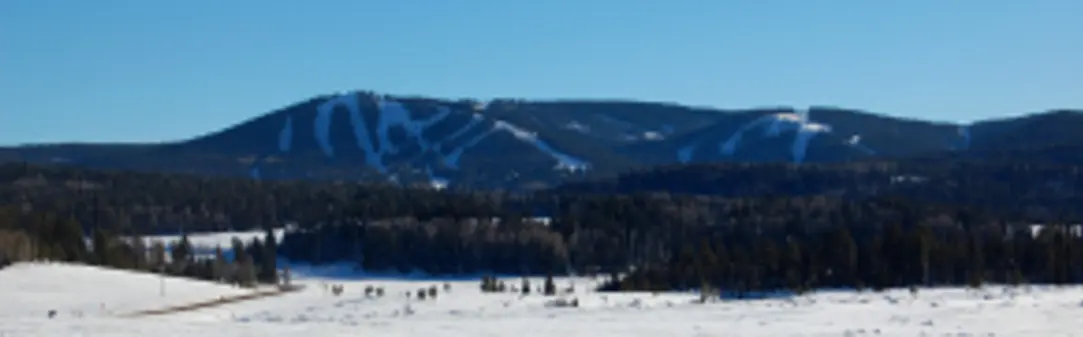 Sunrise Park Resort ski resort