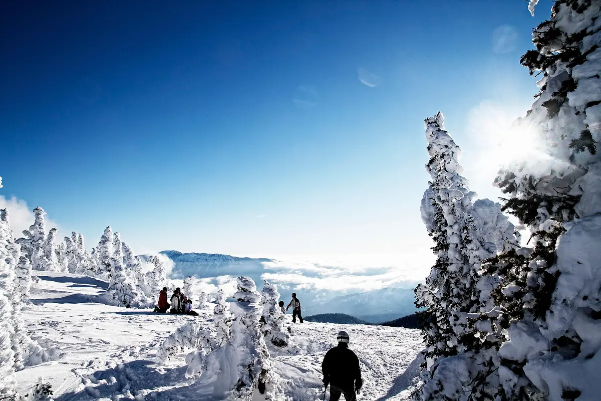 Wolf Creek Ski Area ski resort