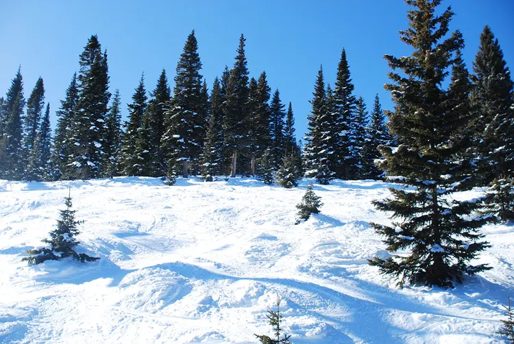 Wolf Creek Ski Area ski resort