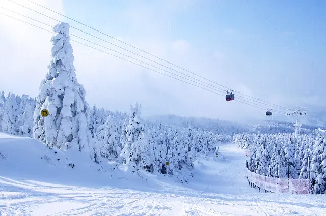 Zao Onsen Ski Resort ski resort